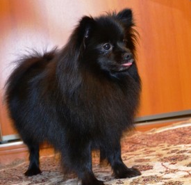 Безымянный.jpg (417.52 КБ, Просмотров: 1293) Безымянный.jpg