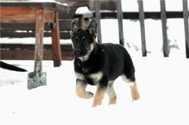 етона2.jpg (46.16 КБ, Просмотров: 2164) етона2.jpg