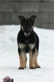 етона.jpg (43.92 КБ, Просмотров: 1994) етона.jpg