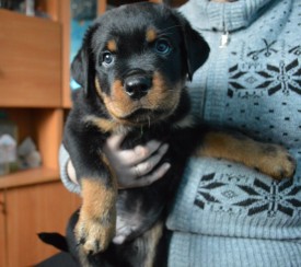 4.jpg (134.45 КБ, Просмотров: 1697) 4.jpg