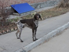 vV68bBpC7hc.jpg (55.04 КБ, Просмотров: 1299) vV68bBpC7hc.jpg