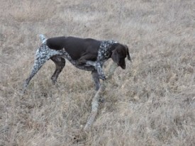 dFhc5bjWiCI.jpg (25.5 КБ, Просмотров: 1332) dFhc5bjWiCI.jpg