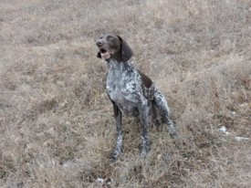 3MMTrFBQdOQ.jpg (29.51 КБ, Просмотров: 1299) 3MMTrFBQdOQ.jpg