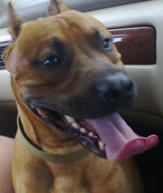 J7KPia_bQ54.jpg (66.52 КБ, Просмотров: 1865) J7KPia_bQ54.jpg