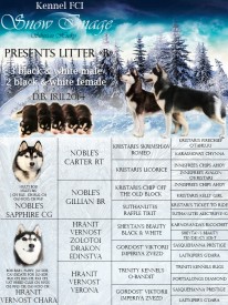 88f9469df133.jpg (771.54 КБ, Просмотров: 1851) 88f9469df133.jpg