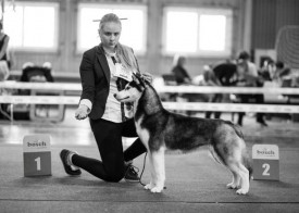 9EAwnnmh.jpg (43.5 КБ, Просмотров: 1849) 9EAwnnmh.jpg