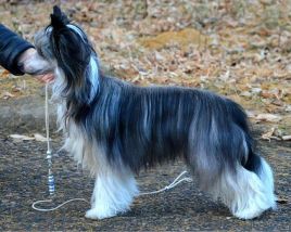 188zyAAzs.jpg (17.46 КБ, Просмотров: 3995) 188zyAAzs.jpg