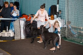 RLC55Kb_KZ8.jpg (293.8 КБ, Просмотров: 12084) RLC55Kb_KZ8.jpg