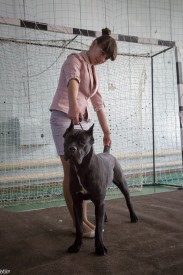 uk4ViVZliGc.jpg (166.36 КБ, Просмотров: 12044) uk4ViVZliGc.jpg