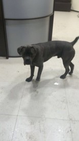 image.jpg (23.33 КБ, Просмотров: 1587) image.jpg