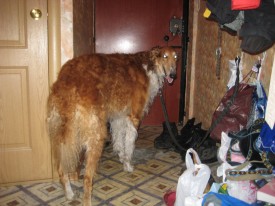 2hzCllintSc.jpg (226.73 КБ, Просмотров: 3561) 2hzCllintSc.jpg