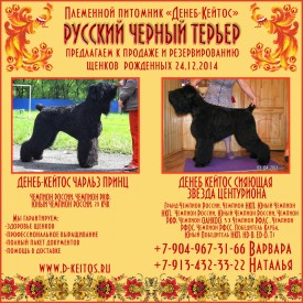Дана и Чарльз.jpg (733.38 КБ, Просмотров: 1816) Дана и Чарльз.jpg