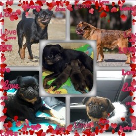 пара.jpg (119.56 КБ, Просмотров: 2582) пара.jpg