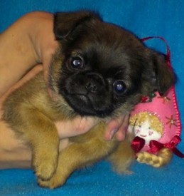 кнопа 28122014.jpg (36.11 КБ, Просмотров: 2576) кнопа 28122014.jpg