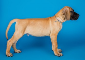 DSC_9898-800.jpg (52.66 КБ, Просмотров: 1188) DSC_9898-800.jpg