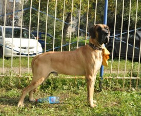 Папа.jpg (263.95 КБ, Просмотров: 1188) Папа.jpg