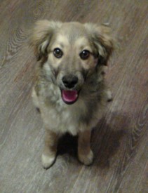 17-1.jpg (57.82 КБ, Просмотров: 3300) 17-1.jpg