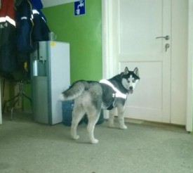 image.jpg (33.69 КБ, Просмотров: 1525) image.jpg