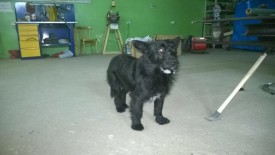 image.jpg (49.94 КБ, Просмотров: 1525) image.jpg