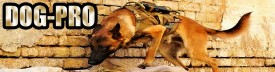 DOG-PRO.jpg (267.9 КБ, Просмотров: 11753) DOG-PRO.jpg