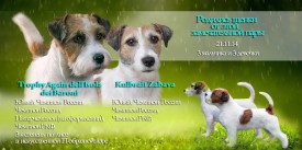 BxEXz2Y2g6M.jpg (80.17 КБ, Просмотров: 1245) BxEXz2Y2g6M.jpg