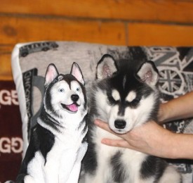 image (4).jpg (37.43 КБ, Просмотров: 1824) image (4).jpg