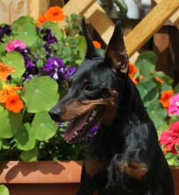 wwfbyi14.jpg (71.69 КБ, Просмотров: 1340) wwfbyi14.jpg