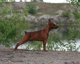 34ef40o.jpg (130.66 КБ, Просмотров: 1339) 34ef40o.jpg