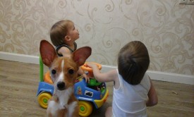 20150109_134912.jpg (414.21 КБ, Просмотров: 1262) 20150109_134912.jpg