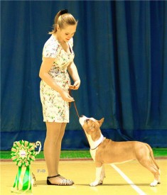 доча1.jpg (164.25 КБ, Просмотров: 4070) доча1.jpg