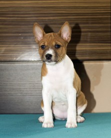 ДЛицоАк.jpg (145.66 КБ, Просмотров: 2732) ДЛицоАк.jpg