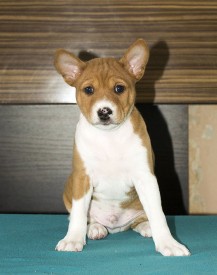 М4ЛицоАк.jpg (148.07 КБ, Просмотров: 2729) М4ЛицоАк.jpg