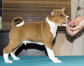 М4СтойкаАк.jpg (168.62 КБ, Просмотров: 2898) М4СтойкаАк.jpg