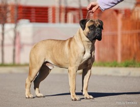 1375283_588030764566888_250024101_n.jpg (58.77 КБ, Просмотров: 3555) 1375283_588030764566888_250024101_n.jpg