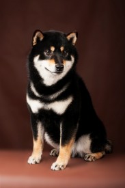 1-1.jpg (107.05 КБ, Просмотров: 1792) 1-1.jpg