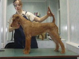 Ляля.jpg (357.91 КБ, Просмотров: 53632) Ляля.jpg