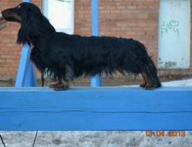 KhHNqKKy.png (423.72 КБ, Просмотров: 3305) KhHNqKKy.png