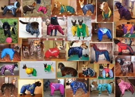 173a1f4ad003 (1).jpg (194.45 КБ, Просмотров: 30708) 173a1f4ad003 (1).jpg