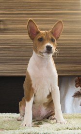 М4ЛицоАк.jpg (475.67 КБ, Просмотров: 2830) М4ЛицоАк.jpg