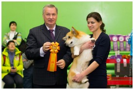 IMG_6635.jpg (161.79 КБ, Просмотров: 5843) IMG_6635.jpg