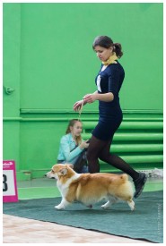 IMG_5744.jpg (170.81 КБ, Просмотров: 5606) IMG_5744.jpg