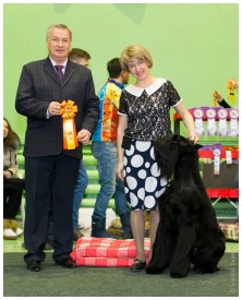 IMG_6653.jpg (219.78 КБ, Просмотров: 5588) IMG_6653.jpg