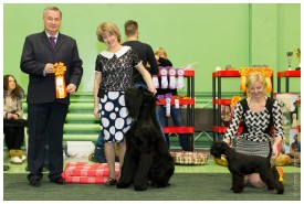 IMG_6655.jpg (212.55 КБ, Просмотров: 5603) IMG_6655.jpg