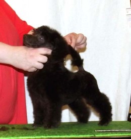 DSCF4829.jpg (39.85 КБ, Просмотров: 1579) DSCF4829.jpg