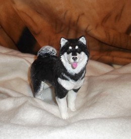 DSCF2500маламут1.jpg (359.95 КБ, Просмотров: 4474) DSCF2500маламут1.jpg