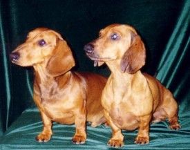 Baks-i-Princ_400.jpg (25.92 КБ, Просмотров: 11135) Baks-i-Princ_400.jpg