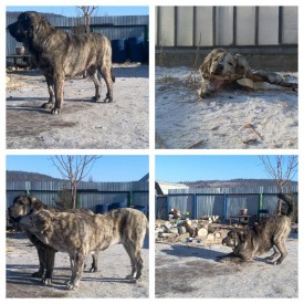 2015-02-02_11.14.35.jpg (117.08 КБ, Просмотров: 6044) 2015-02-02_11.14.35.jpg