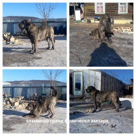 2015-02-02_11.20.54.jpg (121.2 КБ, Просмотров: 6854) 2015-02-02_11.20.54.jpg