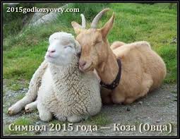 коза и овца.jpeg (10.94 КБ, Просмотров: 11649) коза и овца.jpeg