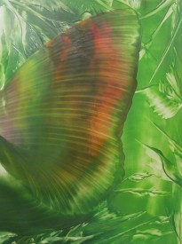 IMG_1396крыло3.jpg (337.13 КБ, Просмотров: 4538) IMG_1396крыло3.jpg